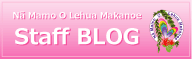 スタッフブログ